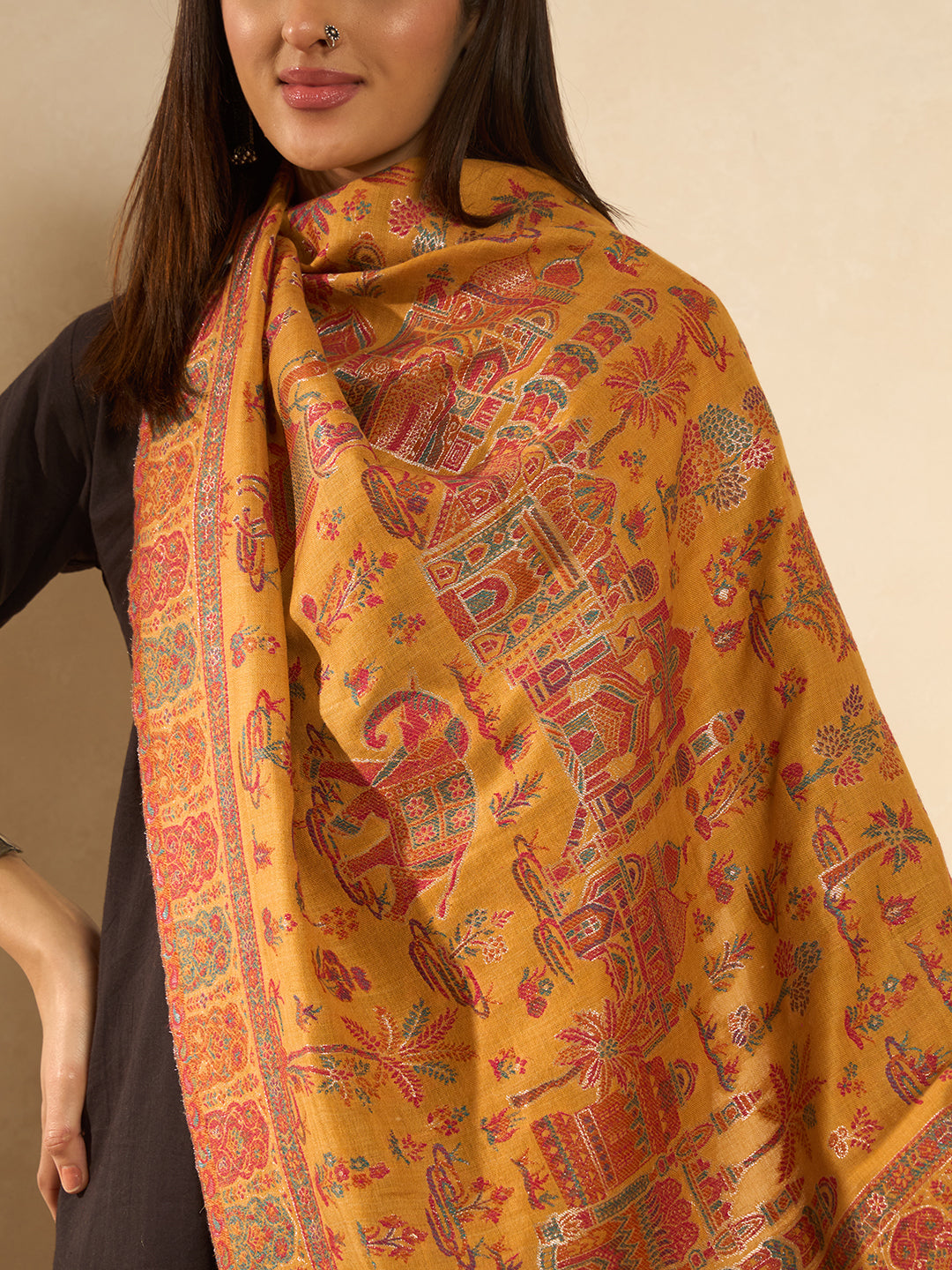 Women Caravan kaani stole Stole